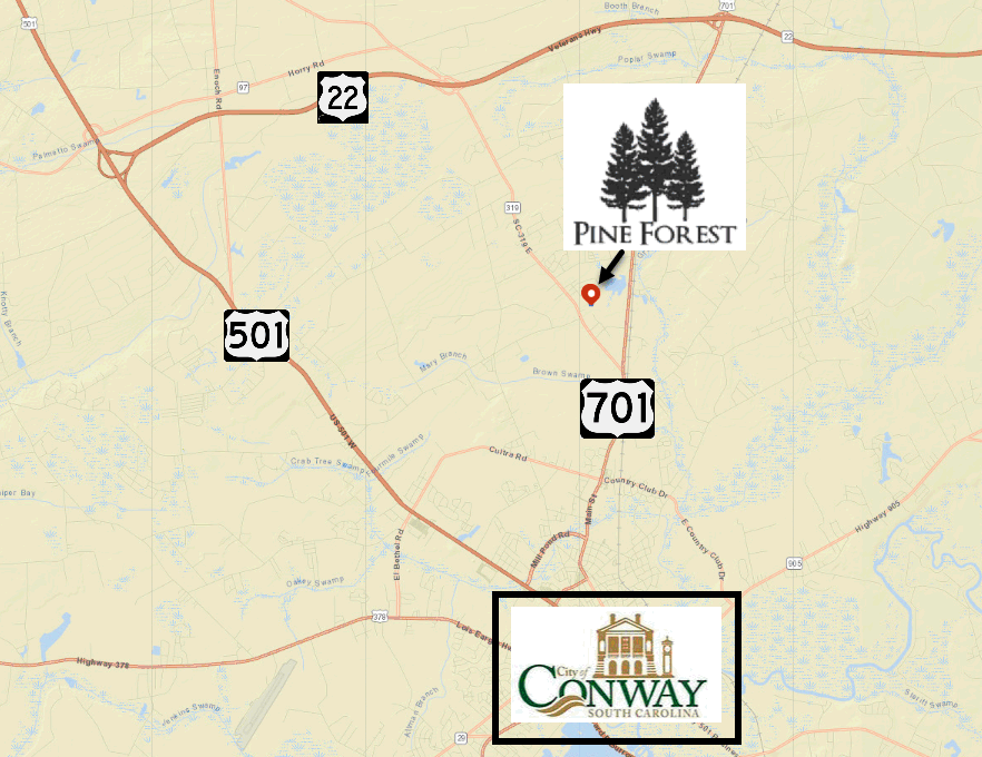 New construction in Pine Forest in Conway
