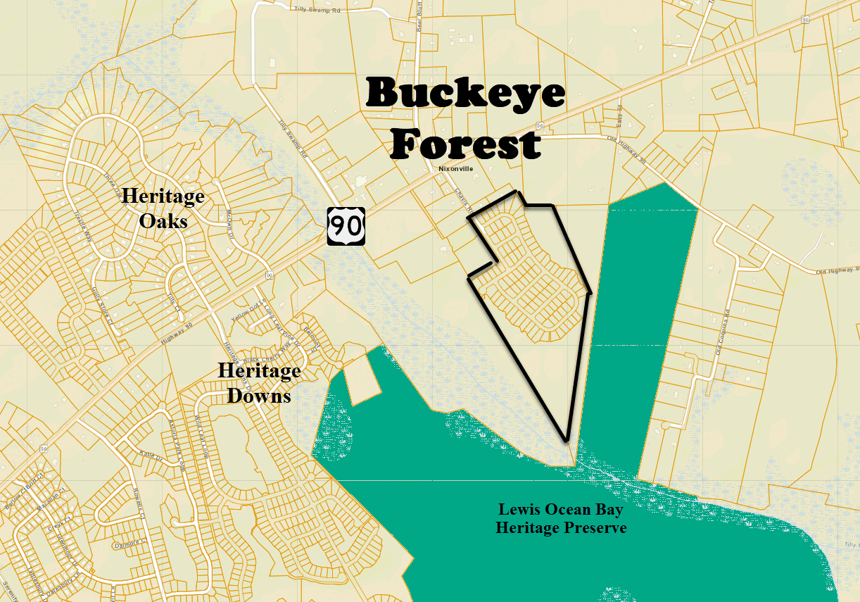 New home community of Buckeye Forest in Conway, SC
